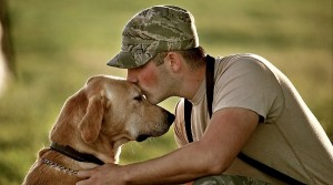 Dogs, like soldiers, suffer from PTSD